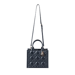 Borsa in Affitto Piccola Dior Book Tote